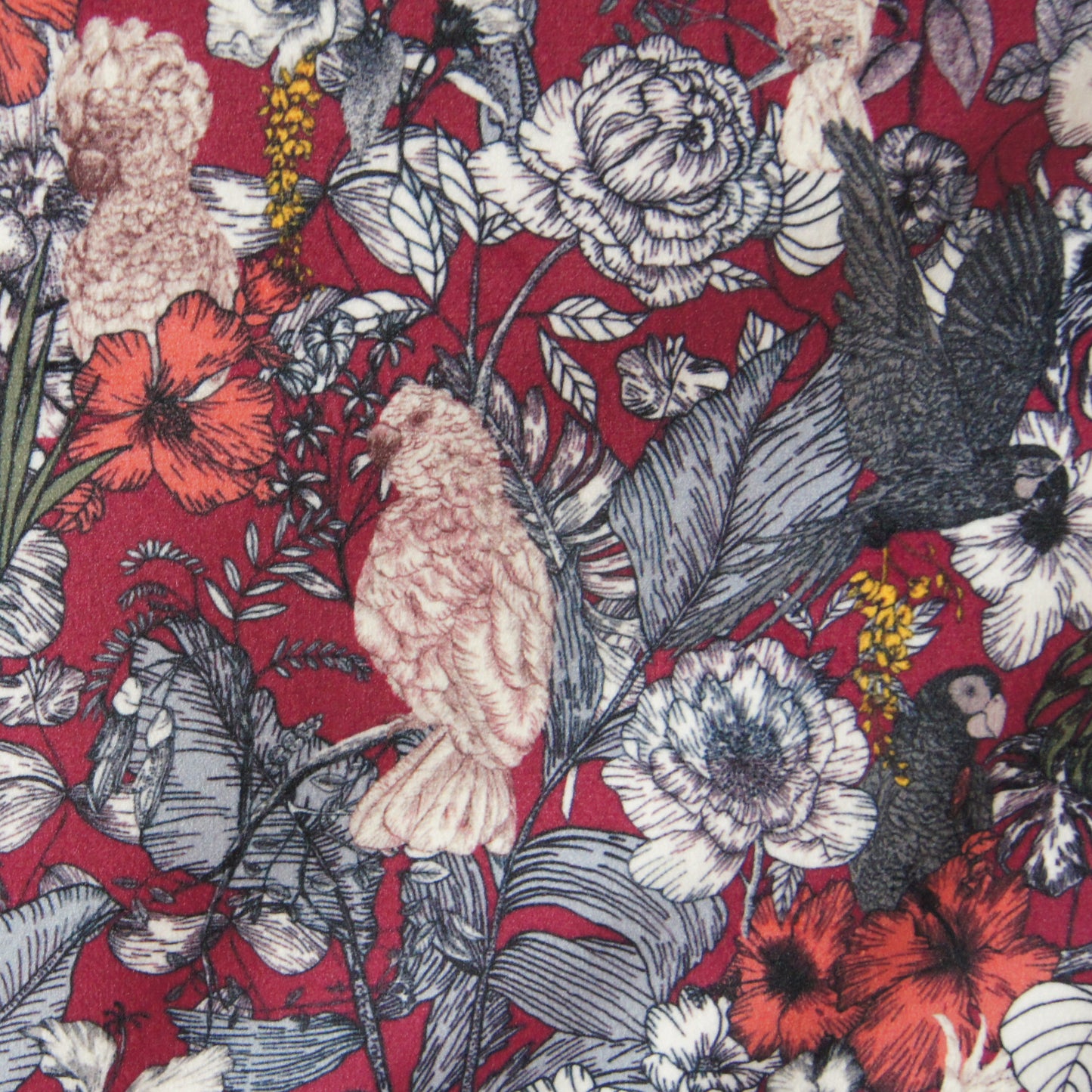 Pochette velours Botanica