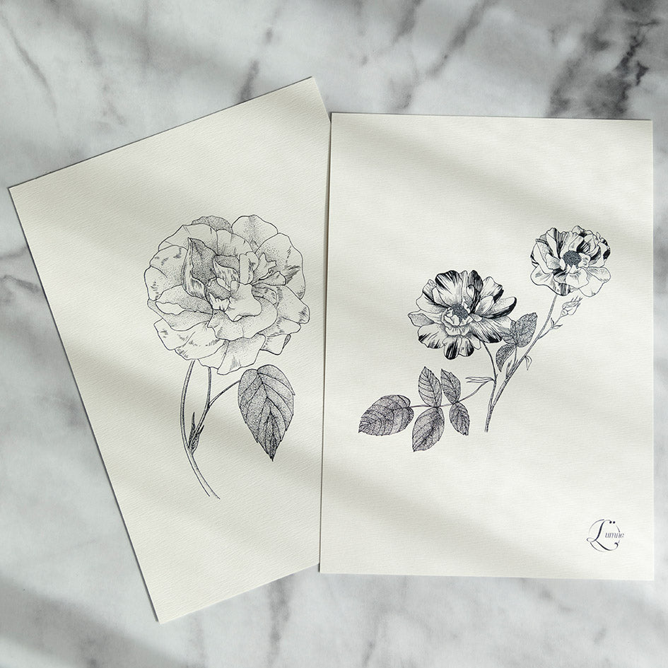 Rose -lot carte A5