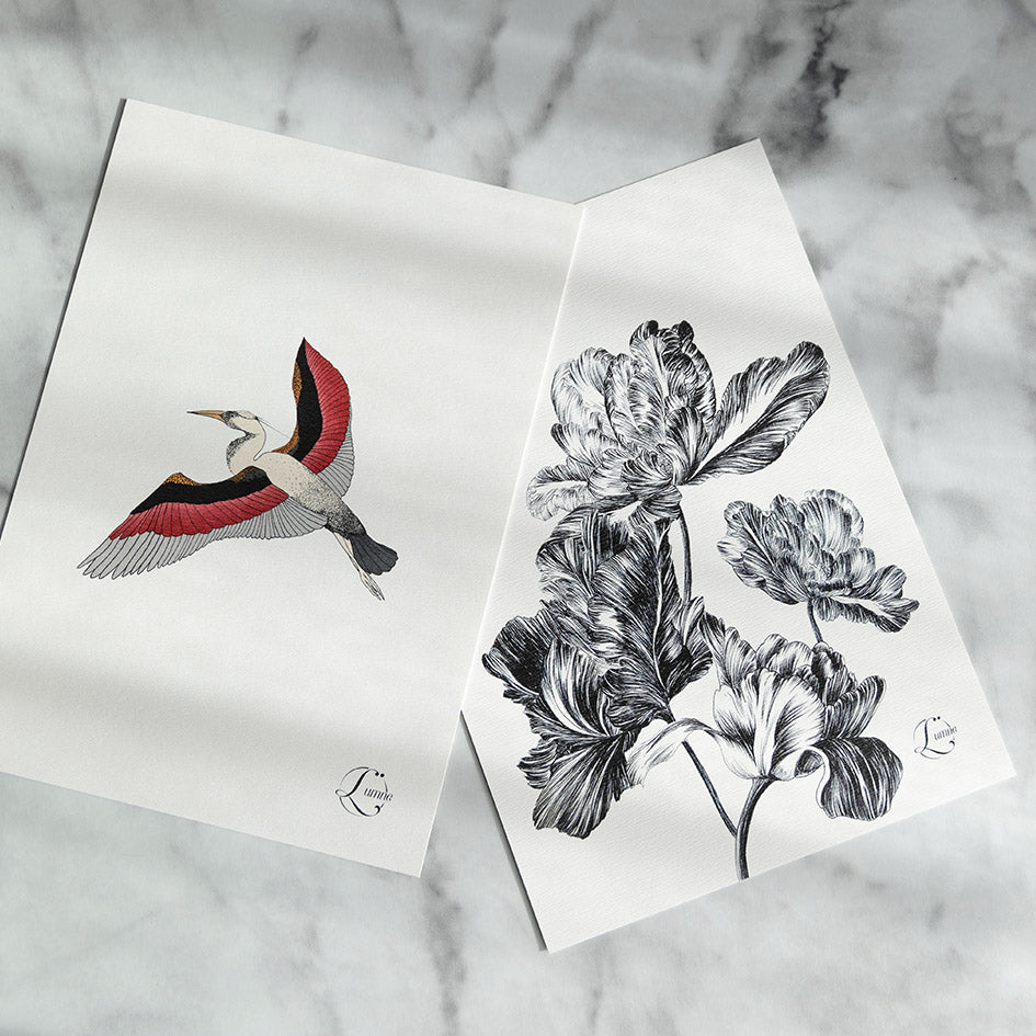 Tulipine et Cigogne