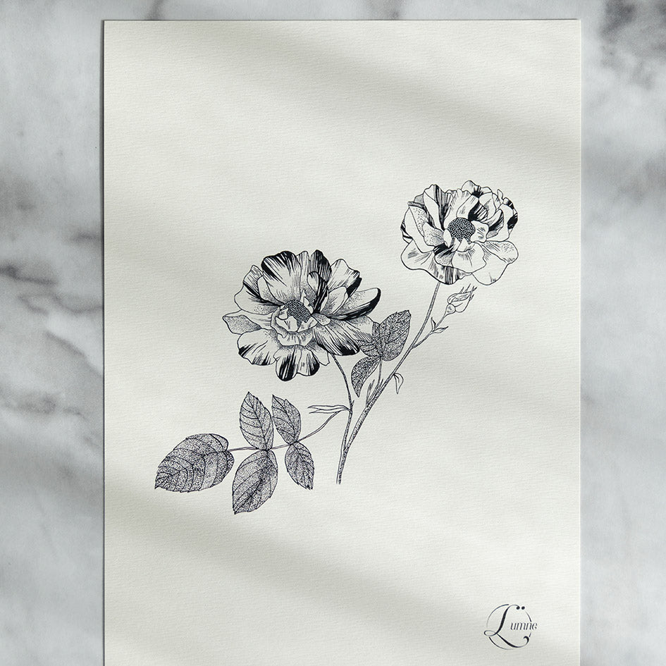 Rose -lot carte A5