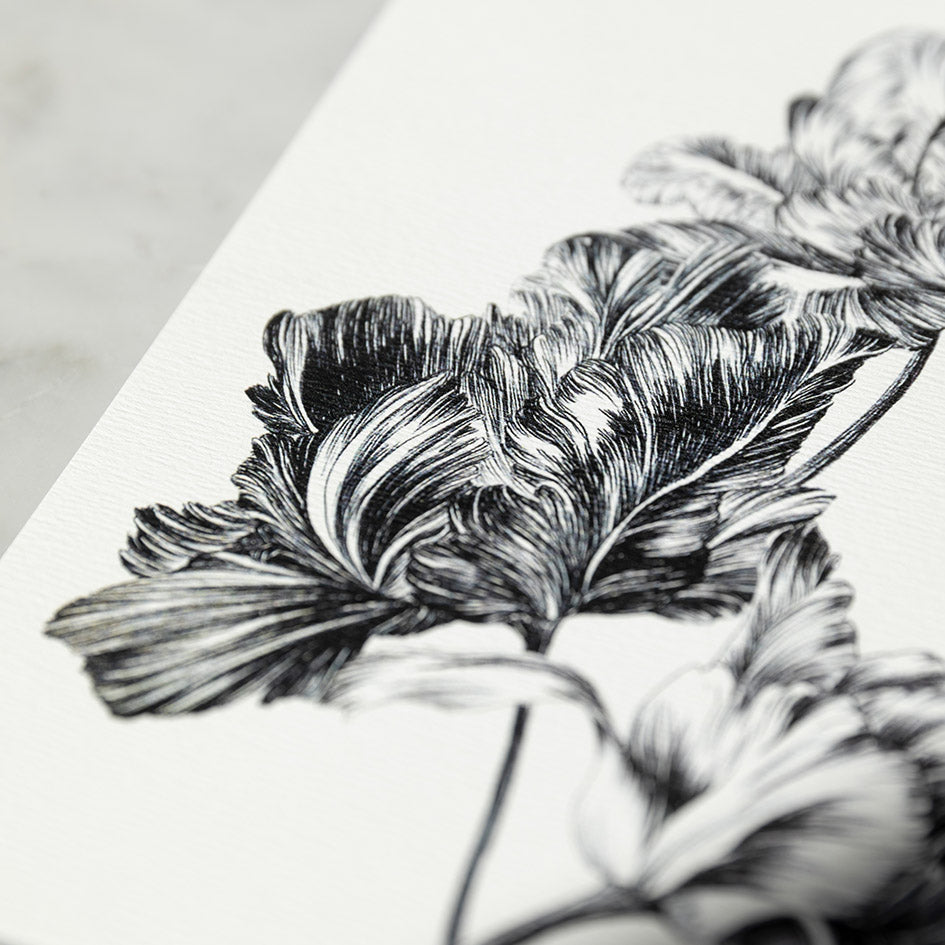 Tulipine et Cigogne