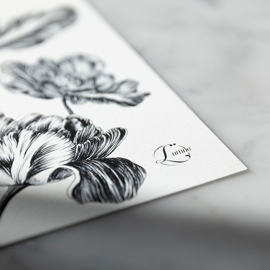 Tulipine et Cigogne